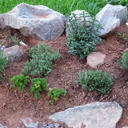 Ferienwohnung Waldmeister سانكت بيتر المظهر الخارجي الصورة