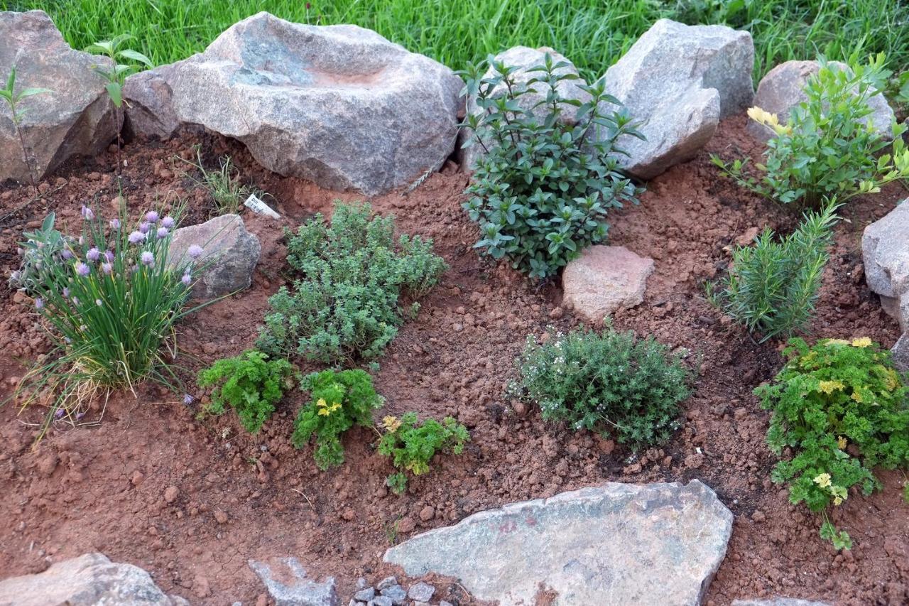 Ferienwohnung Waldmeister سانكت بيتر المظهر الخارجي الصورة